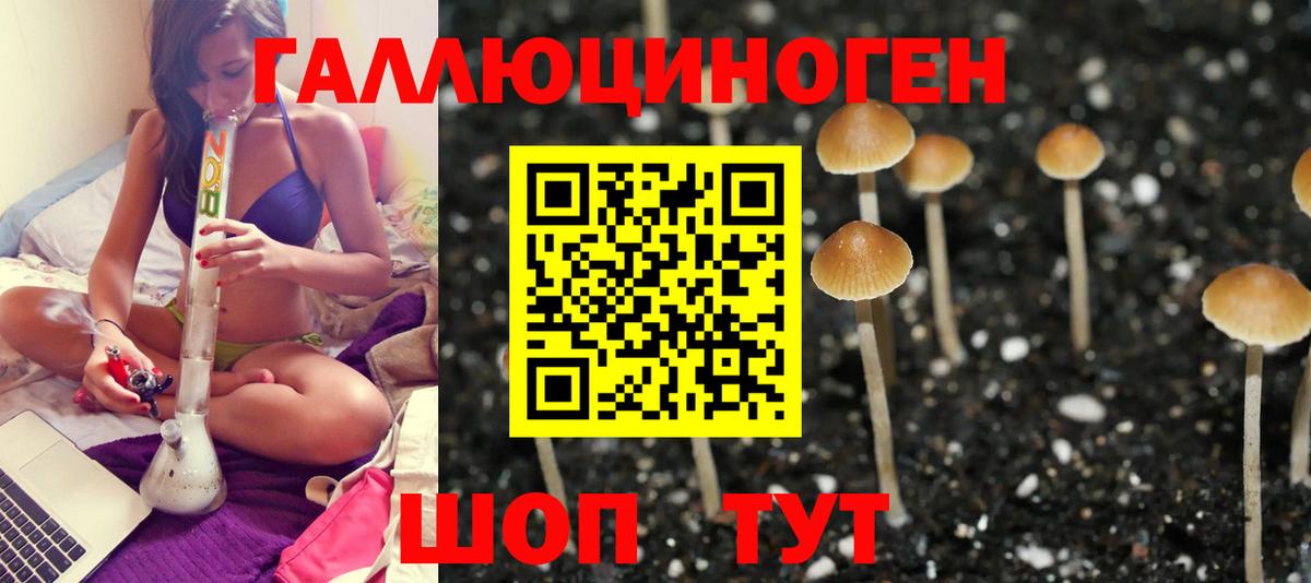 Псилоцибиновые грибы мицелий  Псилоцибиновые грибы Psilocybe  Вход с VPN  Пугачёв 