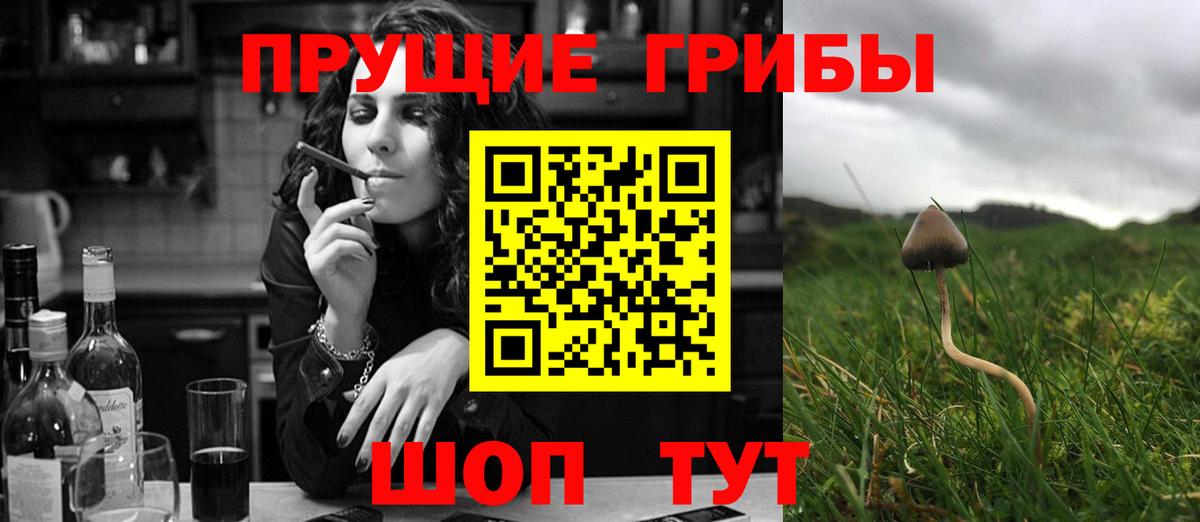Галлюциногенные грибы Cubensis Пугачёв