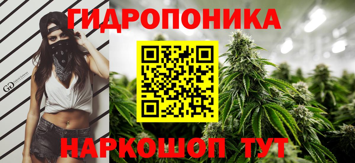 Канабис тримм  Канабис MAZAR  Вход с VPN  Пугачёв 